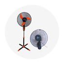 Fans