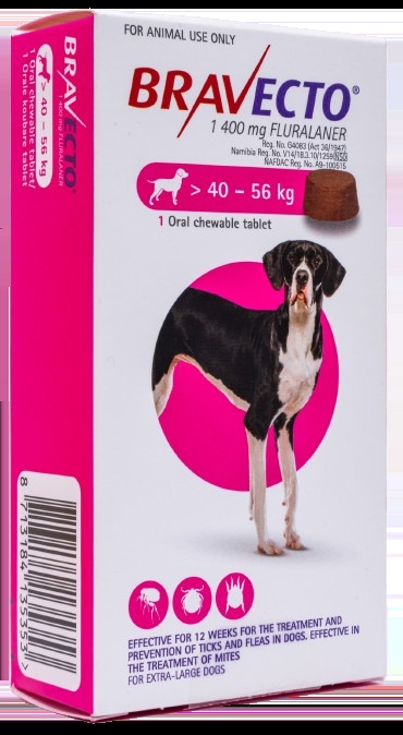 https://gh.jumia.is/cms/external/pet/BR350LS6JGUFONAFAMZ/465cd15971606158a6a36db36a50d021.jpg