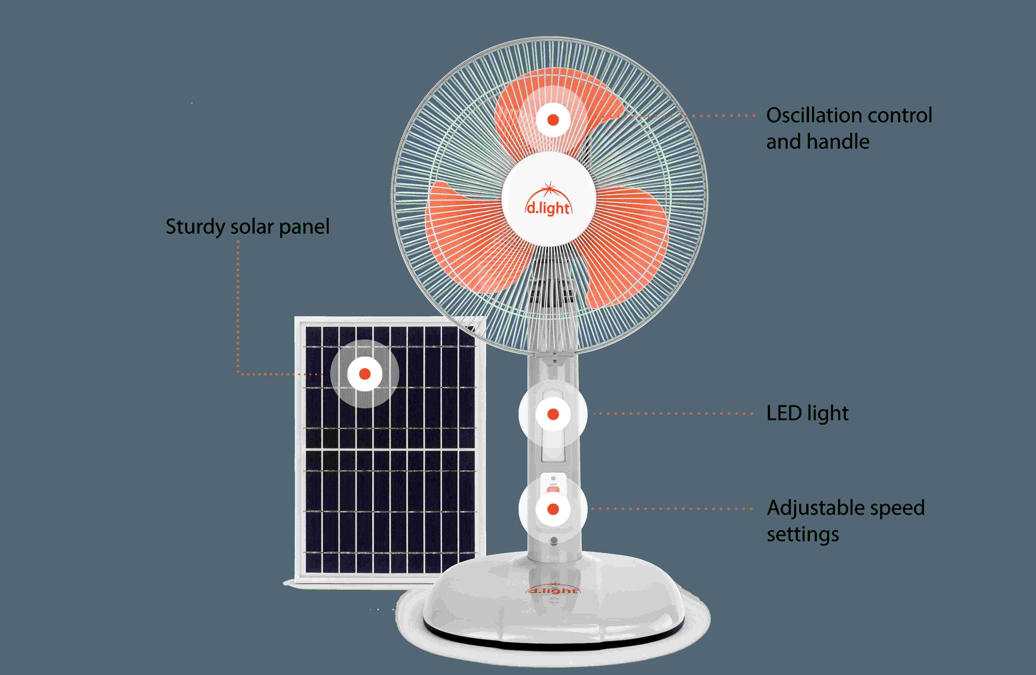 Detailed view of SF40