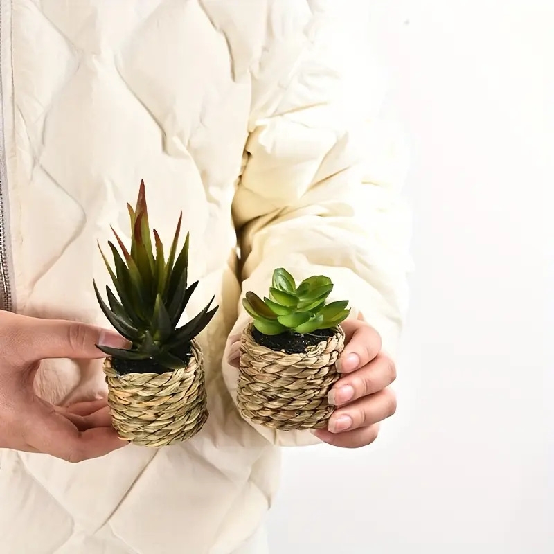 5件套人造盆栽花，仿真多肉植物塑料插花适用于室内外家居厨房桌面婚礼装饰。母亲节父亲节520的绝佳礼物与祝福 商品详情 1