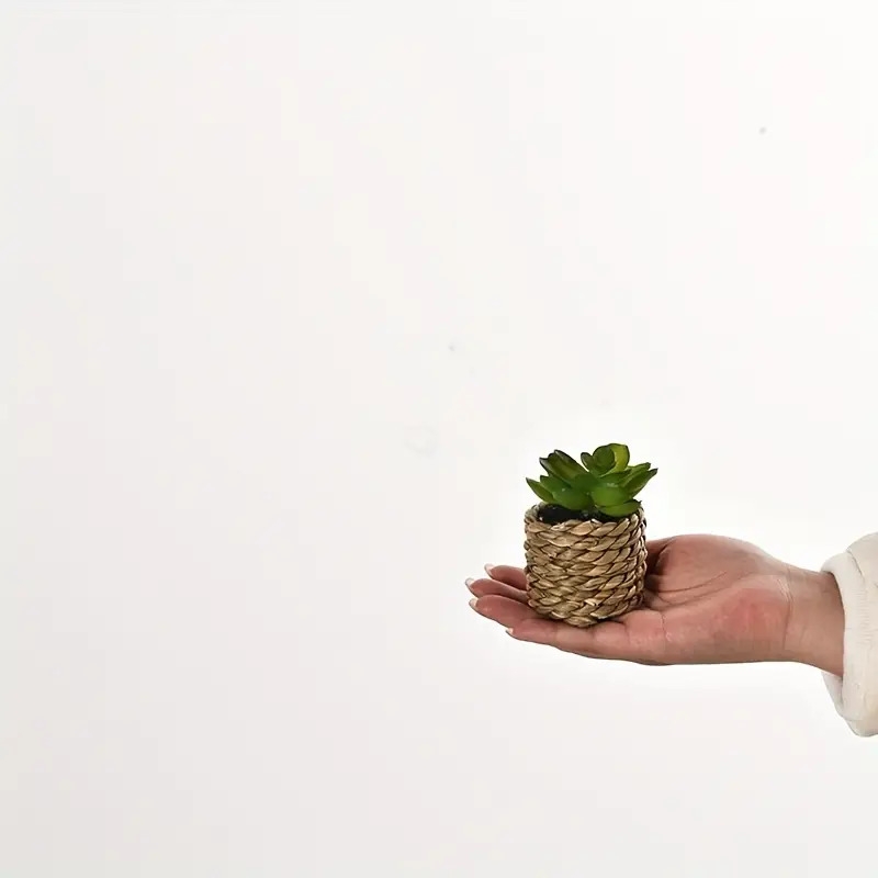 5件套人造盆栽花，仿真多肉植物塑料插花适用于室内外家居厨房桌面婚礼装饰。母亲节父亲节520的绝佳礼物与祝福 商品详情 2