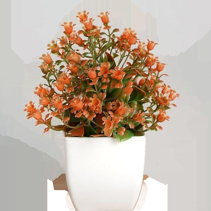 https://gh.jumia.is/cms/external/pet/GE779FD625WL4NAFAMZ/ceb214a354ee641e0ed565f939857219.jpg