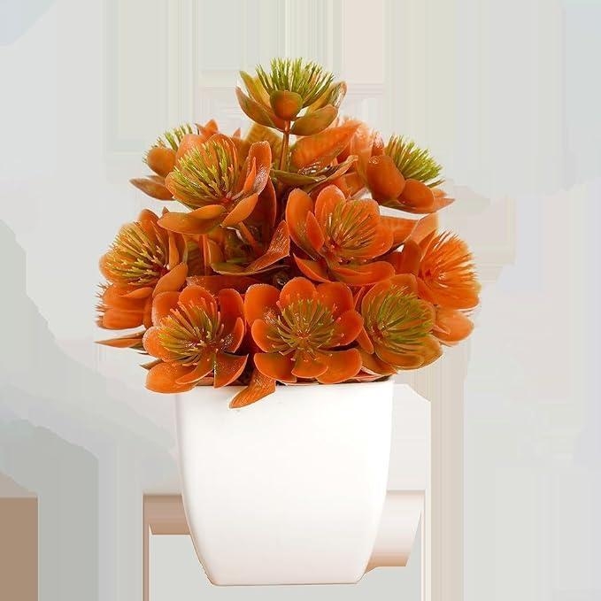 https://gh.jumia.is/cms/external/pet/GE779FD625WL4NAFAMZ/d608383efdc2c5188e2b18b40d7d6521.jpg
