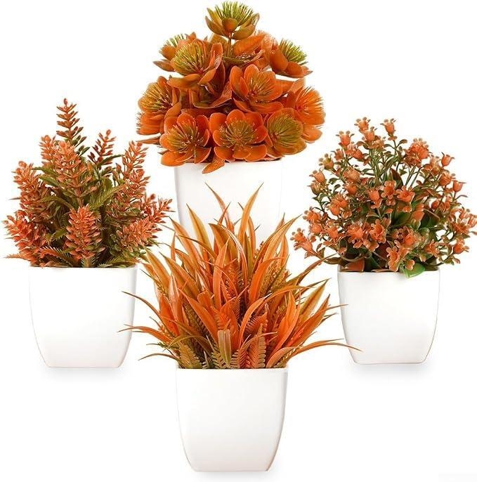 https://gh.jumia.is/cms/external/pet/GE779FD625WL4NAFAMZ/fb97c0dd67ed621f9589d9fe99e09ebc.jpg