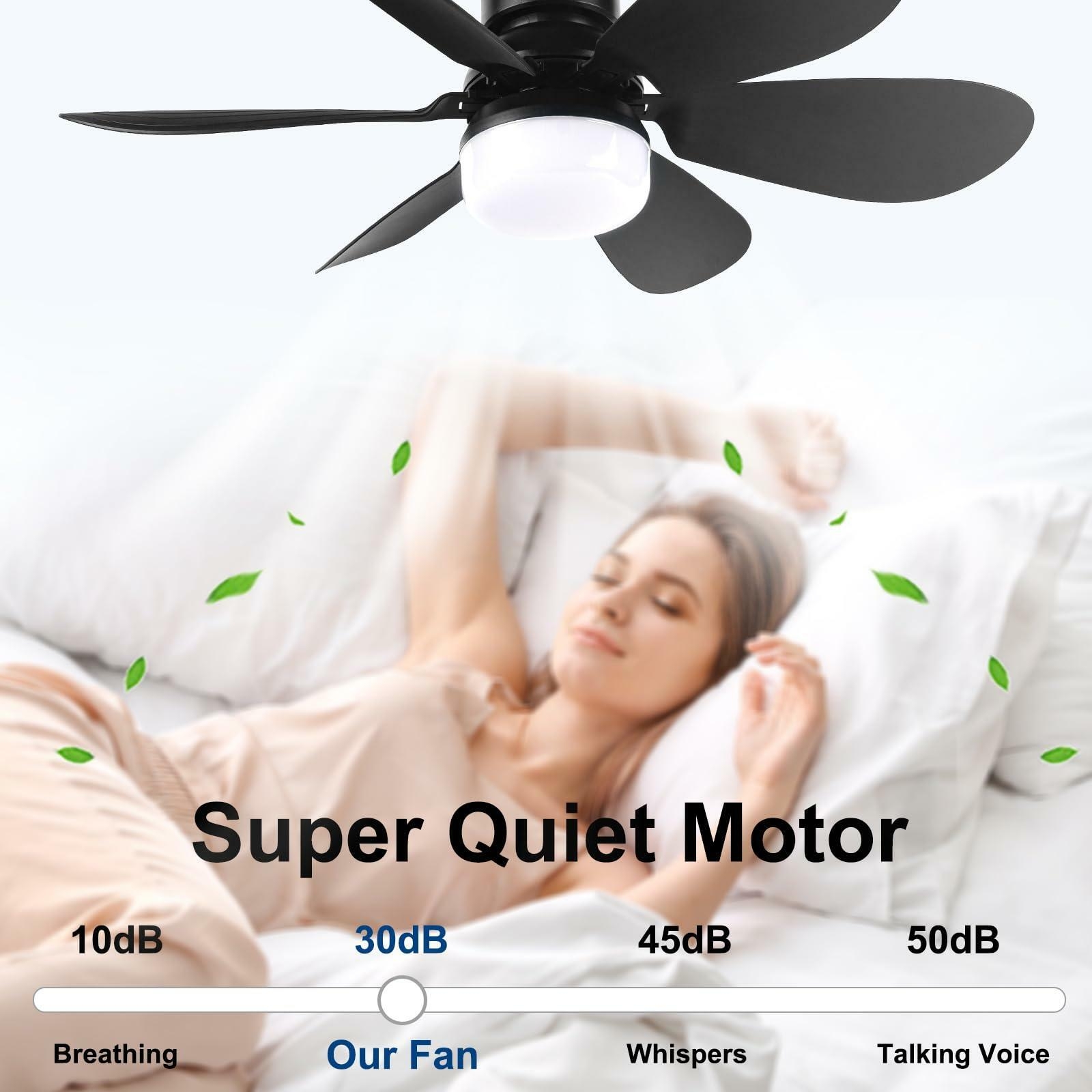 https://gh.jumia.is/cms/external/pet/GE779HA51222SNAFAMZ/cb4fcb2cc63495936a4aaf4ade7470e1.jpg