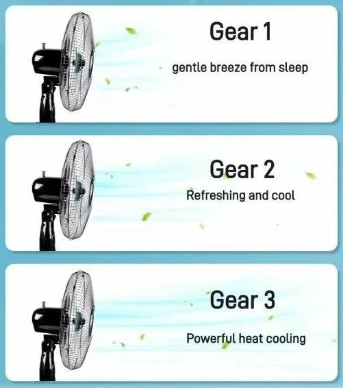 https://gh.jumia.is/cms/external/pet/GE779HA54NA8KNAFAMZ/c77b42a6fee4c25628db3c28d9c0df14.jpg
