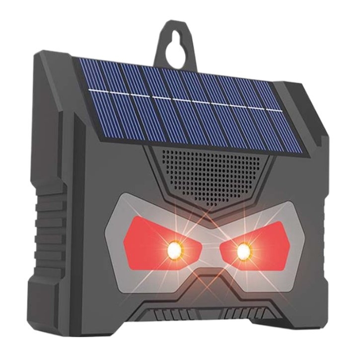 https://gh.jumia.is/cms/external/pet/GE779IP52HV78NAFAMZ/14affe4e1cd59b1c2ff2cc5828c4d1d6.jpg
