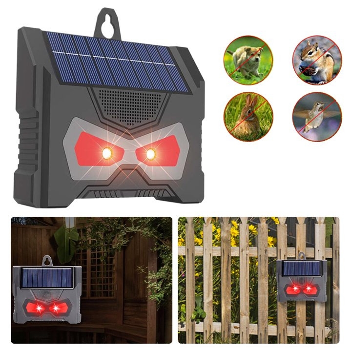 https://gh.jumia.is/cms/external/pet/GE779IP52HV78NAFAMZ/a156d0c933dd985ac8f4390249f37fd5.jpg