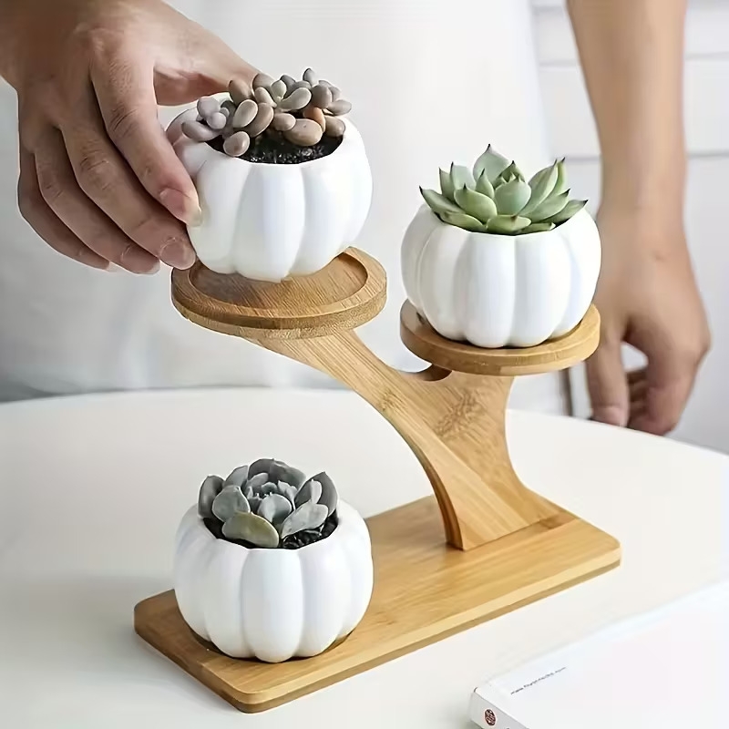 https://gh.jumia.is/cms/external/pet/GE779IP5J6ESSNAFAMZ/3d2042341dbc9cf40203a5cc1accc878.jpg