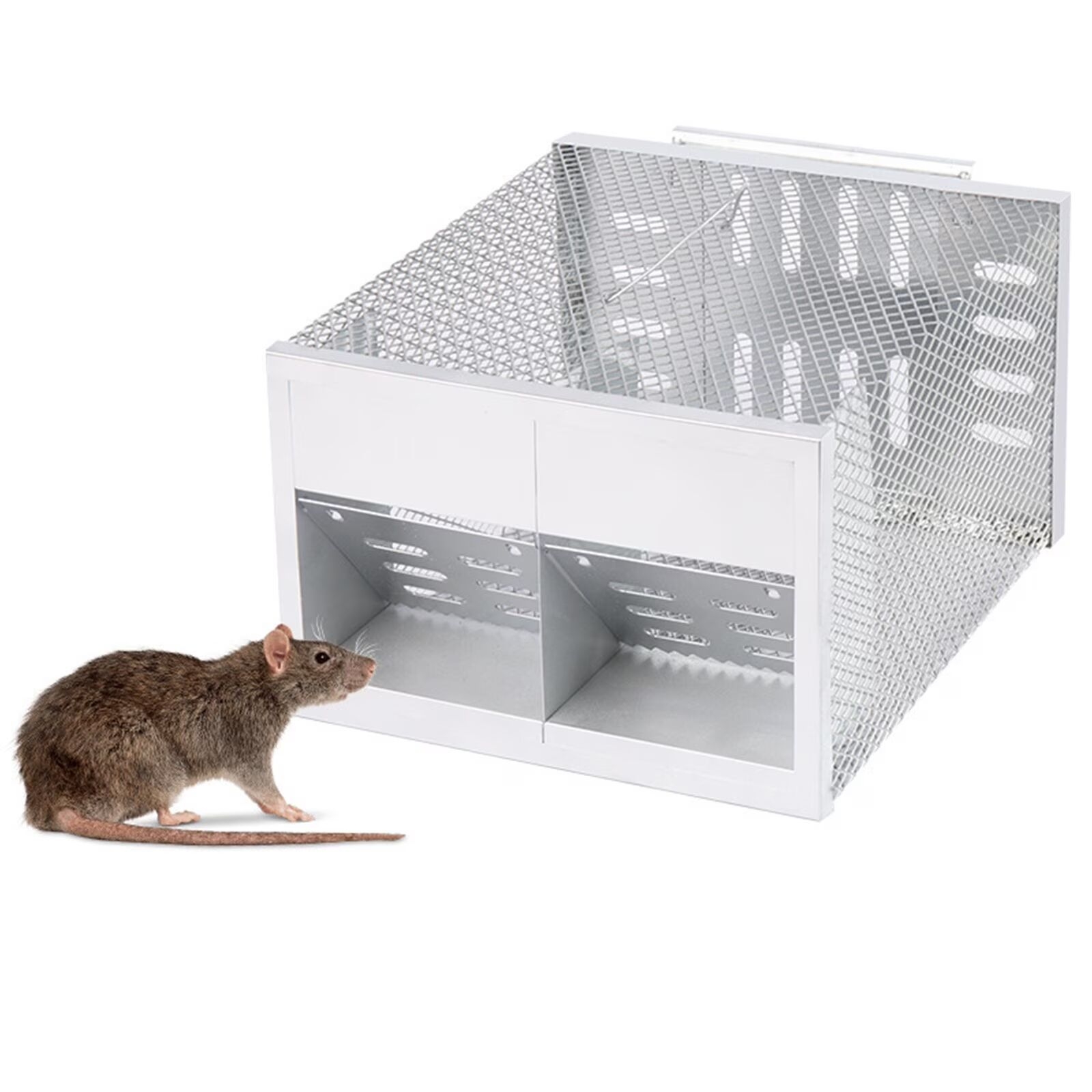 https://gh.jumia.is/cms/external/pet/GE779IP5JVT5GNAFAMZ/72b596cd52231e74dbb060e0852ccb45.jpg