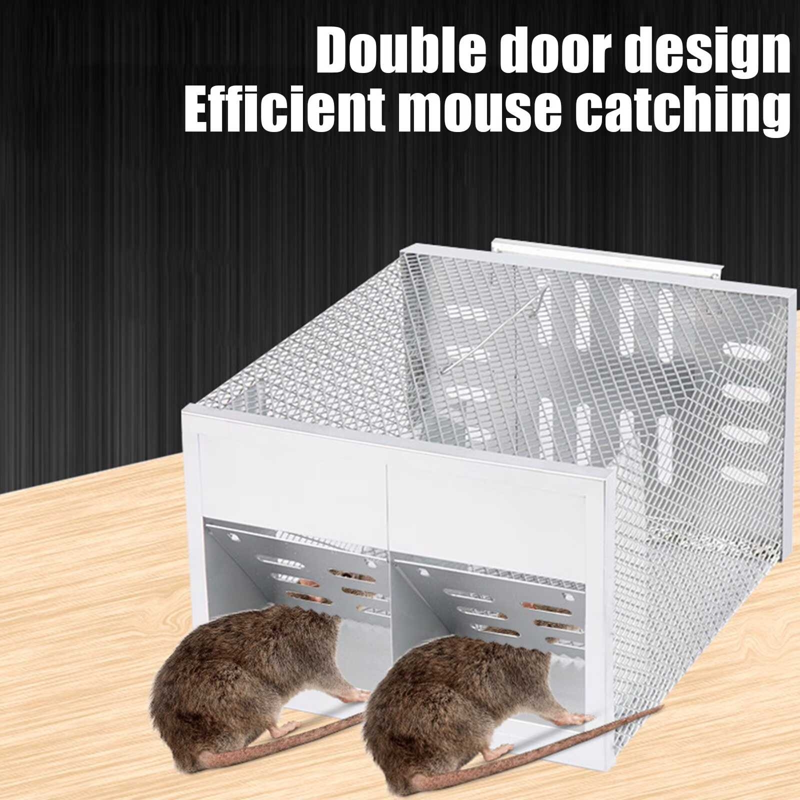 https://gh.jumia.is/cms/external/pet/GE779IP5JVT5GNAFAMZ/bd66c15df9cd23d3ed765798de7d5de2.jpg