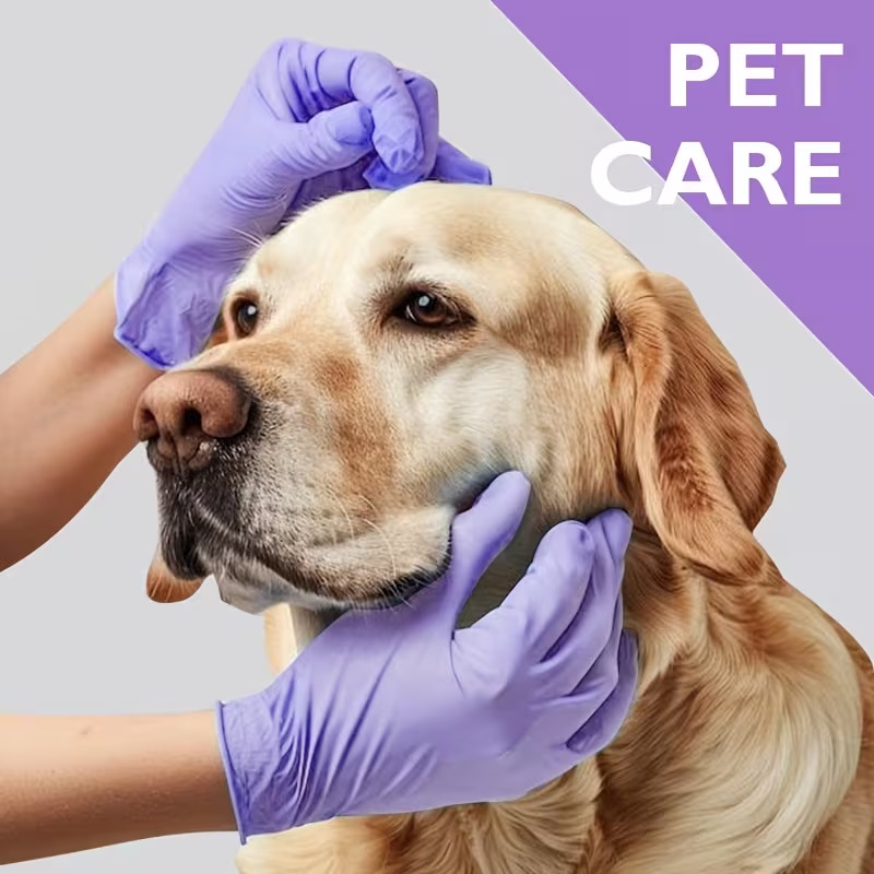 30pcs purple vinyl nitrile gloves latex free powder free non sterile lightweight durable for household cleaning pet care beauty salons and women Product details 6