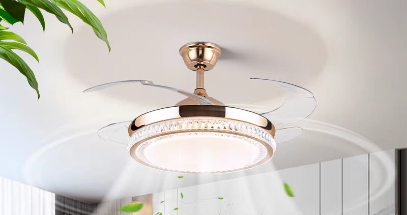 https://gh.jumia.is/cms/external/pet/GE779LB429PRRNAFAMZ/775b23a6e0cf2a93d3e981331b426686.jpg