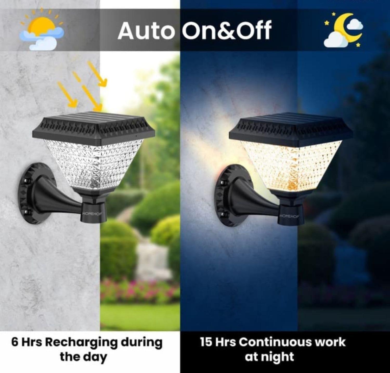 https://gh.jumia.is/cms/external/pet/GE779LB5BJ4B0NAFAMZ/3c9be605e24335cf886dd04c8c5422b8.jpg