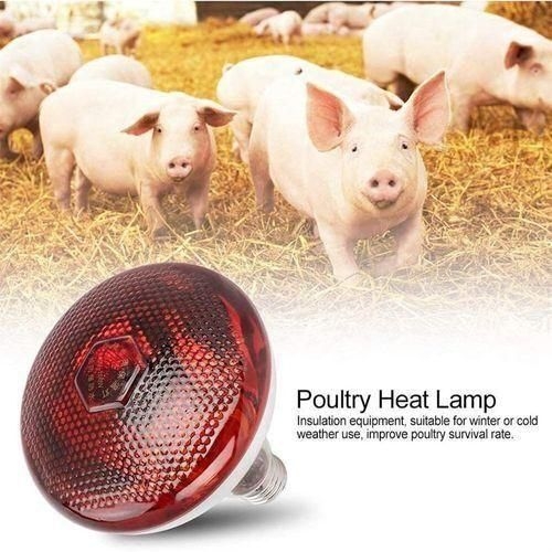 https://gh.jumia.is/cms/external/pet/GE779LS515X4CNAFAMZ/58687650181cf838d297d72ab15e12b3.jpg