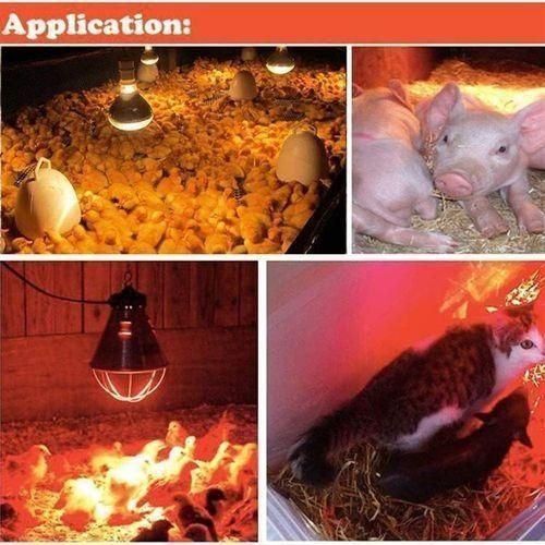https://gh.jumia.is/cms/external/pet/GE779LS515X4CNAFAMZ/83327cbff23d9dce262815ed94ebde13.jpg