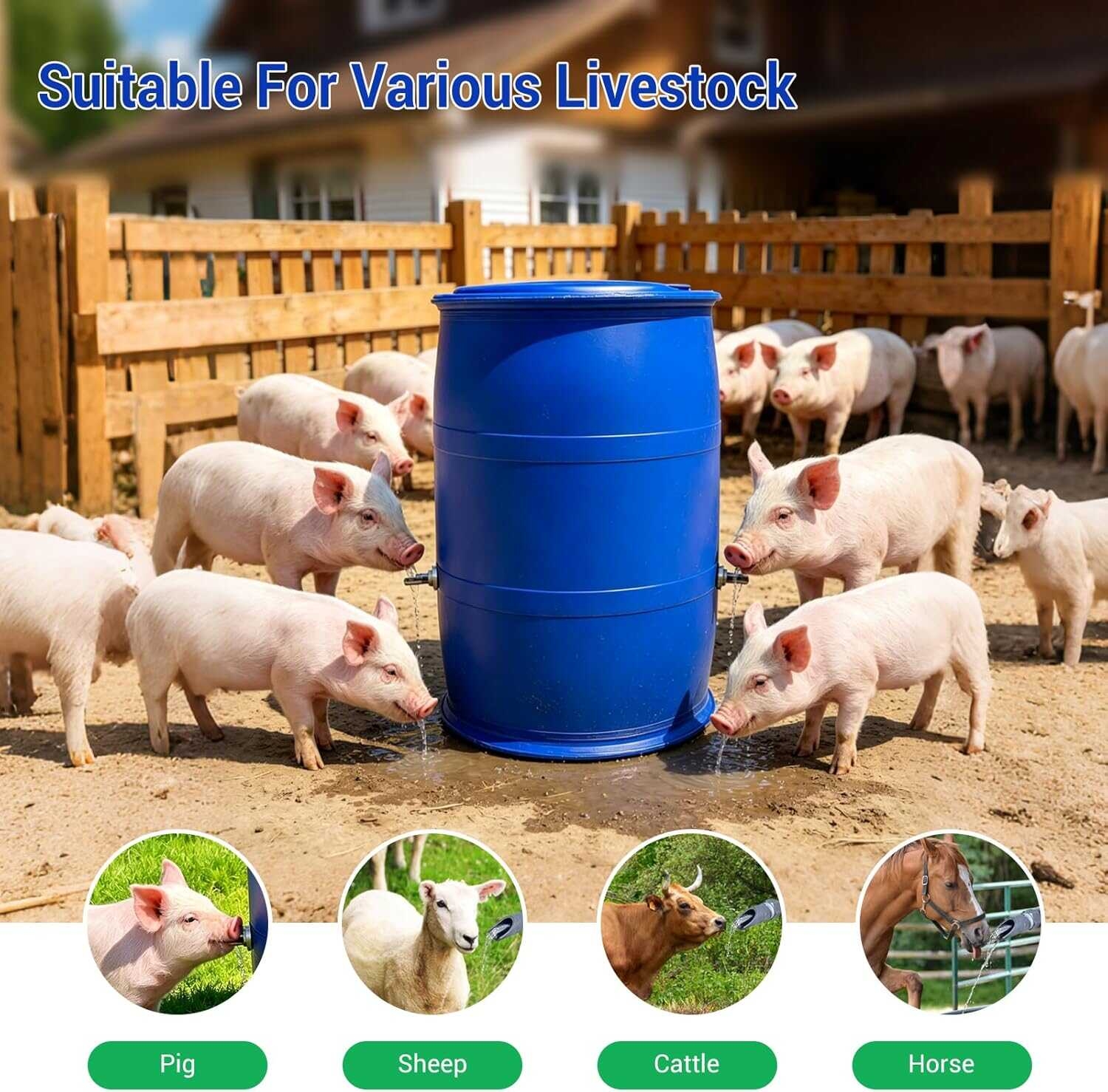 https://gh.jumia.is/cms/external/pet/GE779LS5WMSDKNAFAMZ/34d76505c087e2ead926cece4cd1b857.jpg