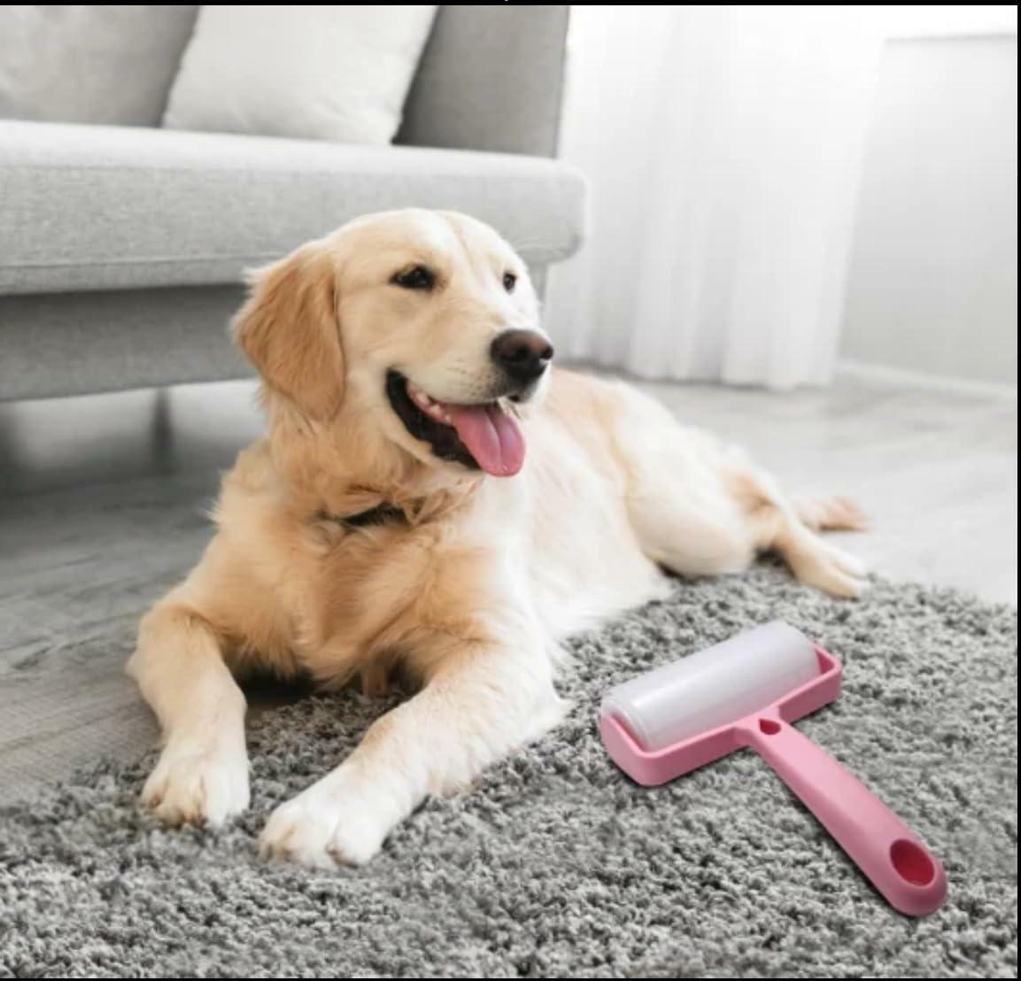 https://gh.jumia.is/cms/external/pet/GE779LS6686K4NAFAMZ/16610d484132cf70241d807077e3281b.jpg