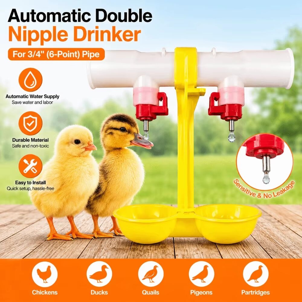 https://gh.jumia.is/cms/external/pet/GE779LS6ARCXWNAFAMZ/40306b36ad2f119e0900c977e0a3c564.jpg