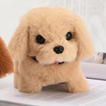 https://gh.jumia.is/cms/external/pet/GE779TG50QC0CNAFAMZ/3e6ab140181033398c9f5580b4e95932.jpg