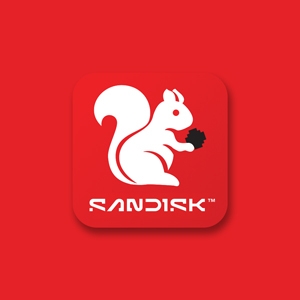 SanDisk Ultra Micro SD