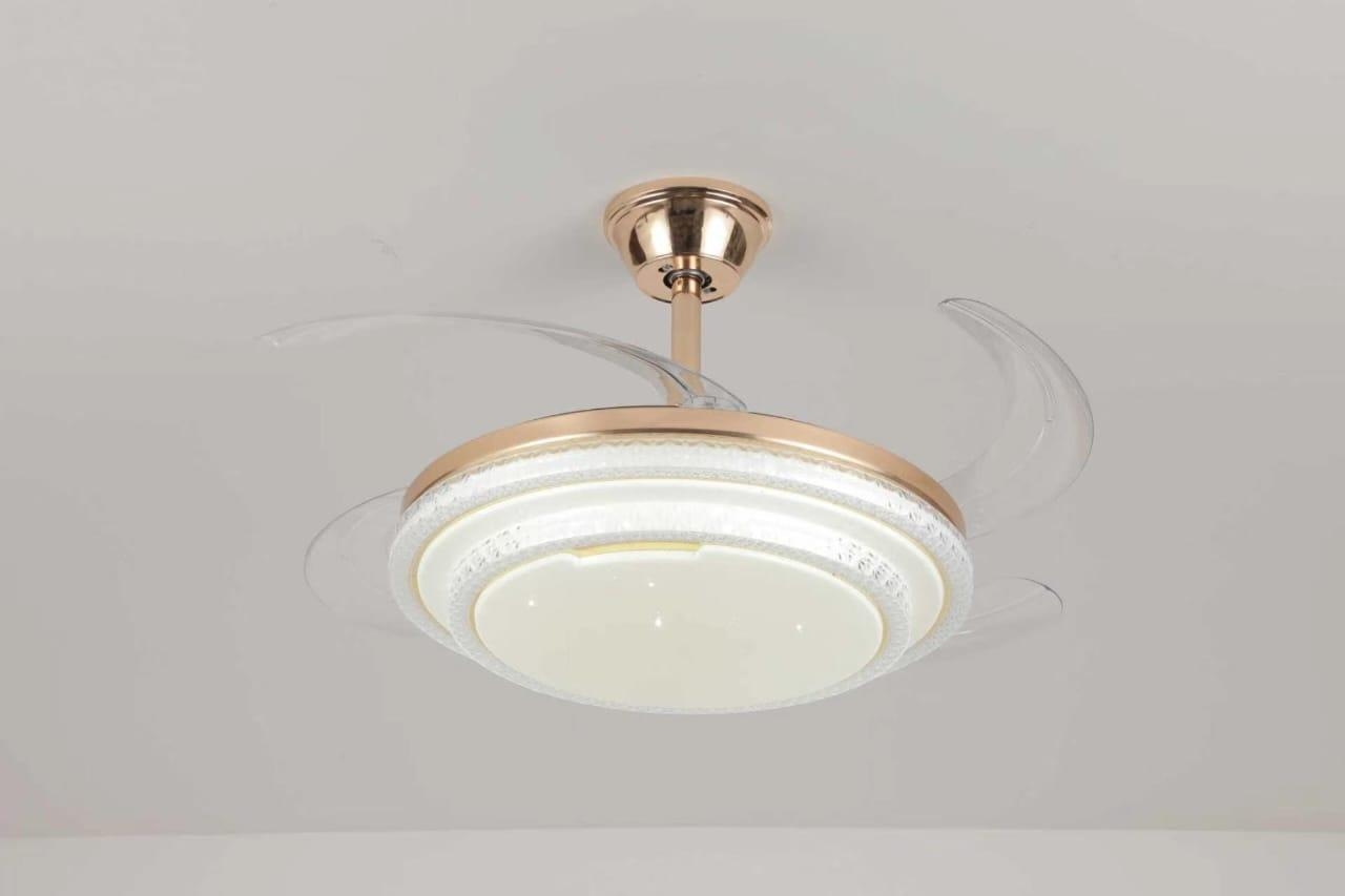 https://gh.jumia.is/cms/external/pet/SU395LB6FKCPWNAFAMZ/dfd7977c7be73605735cf3fa502a4d84.jpg