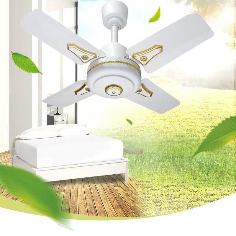 https://gh.jumia.is/cms/external/pet/TA907HA6GNLDGNAFAMZ/920e4f5ae8c763977360f1a2d2653e5a.jpg