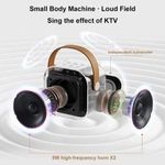 Generic Karaoke Machine Portable Bluetooth Speaker Wireless Microphone Hifi Home Singing Speaker Children'S Gift - image 5