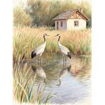 Cranes On Water Art Frame - Multicolour
