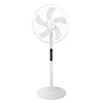 Electric fan office retractable floor fan shaking head timed convection fan air circulation fan