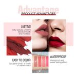 O.TWO.O 2 IN 1 Matte Lipstick & Liquid Lipstick in Plum - image 2