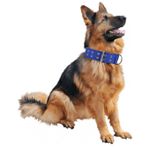 AD Pet Adjustable Collar for Medium to Large Pets - Multicolour - image 2