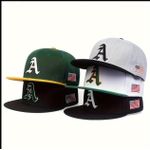 product_image_name-Cap-Men stylish embroidered hat-2