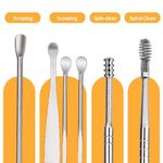 product_image_name-Generic-5pcs Stainless Steel Ear Cleaner Set with Case-1
