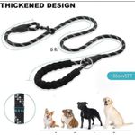 AD Heavy Duty Dog Leash for Medium and Heavy Dogs - Multicolour - image 2