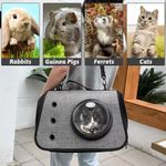 product_image_name-Generic-Breathable and portable pet backpack, foldable travel backpack for dogs and cats, small pet backpack (weighing under 7.5 kg).-4