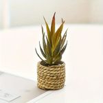 product_image_name-Generic-5-piece artificial potted plant flower set, featuring simulated succulent plastic flower arrangements suitable for indoor and outdoor home decoration.-4