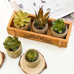 product_image_name-Generic-5-piece artificial potted plant flower set, featuring simulated succulent plastic flower arrangements suitable for indoor and outdoor home decoration.-7