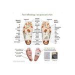 product_image_name-Kinoki-Foot Patch Detox cleansing foot pad-100pads-4
