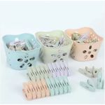 AD 36pcs Pegs + Basket - Multicolours