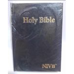 Newtons NIV Compact Bible