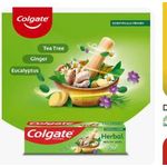Colgate Tooth Paste Herbal - 230g - image 2