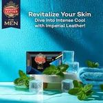 Imperial Leather Intense Cool Bathing Bar - 150g - image 3