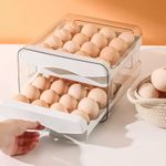 Double Layer Automatic Rolling Egg Storage Box – Fridge Organizer