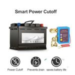 Generic Remote Control Car Battery Disconnect