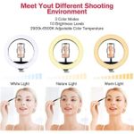 Generic 18 Inch LED Ring Light with Tripod Stand, 3 Phone Holders & Remote Control – Black - image 3