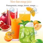 Generic Industrial Orange Juice Extractor - image 3