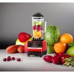 SILVER CREST INDUSTRAL FOOD BLENDER