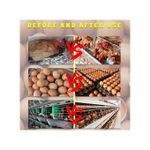 product_image_name-Generic-Poultry Egg Production Egg Booster For Layers - 500g-4