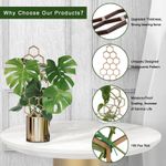 product_image_name-Generic-Plant Trellis for Climbing Plants Indoor Pot, 12 inch Small Wooden Trellis for Potted Plants with Moisture-Proof Layer for Vines Ivy Hoya Houseplants, Moon and Geometric Shape Design 3 Pack-4